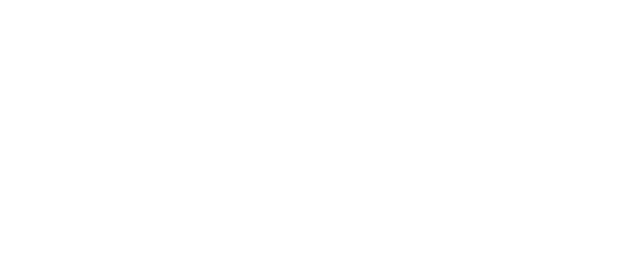 VZP